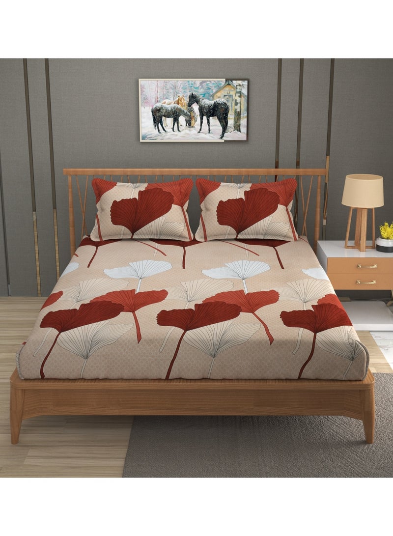 AURIO Premium Queen Size Fitted Bedsheet with 2 Pillowcases – Modern Design – Deep Pocket (180x200+35 cm) Soft, Breathable Microfiber Bedding Set for Home Comfort - Image 2